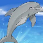 آموزش کشیدن نقاشی دلفین