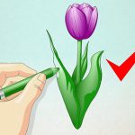 آموزش کشیدن نقاشی گل لاله/ تصاویر