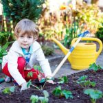 باغبان کوچک| معجزه تعامل کودک با گل و گیاه