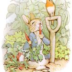 داستان پیتر خرگوشه (محبوب ترین داستان بئاتریکس پاتر )
