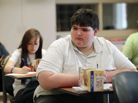 مقابله با چاقی در نوجوانی, چاقی در نوجوانی, علل عمده چاقی در نوجوانی